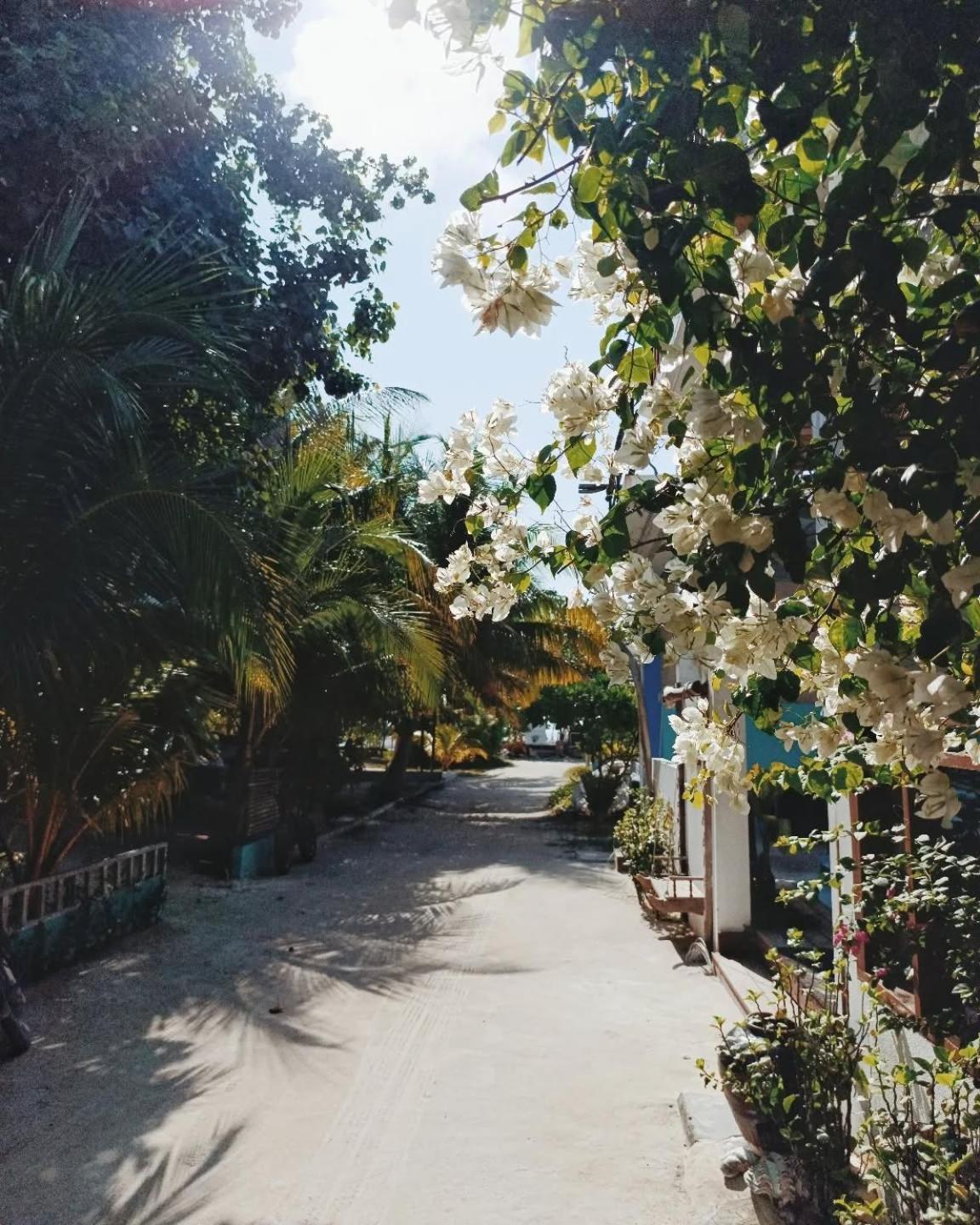 Kudhi Boli Beach House Thulusdhoo Eksteriør billede
