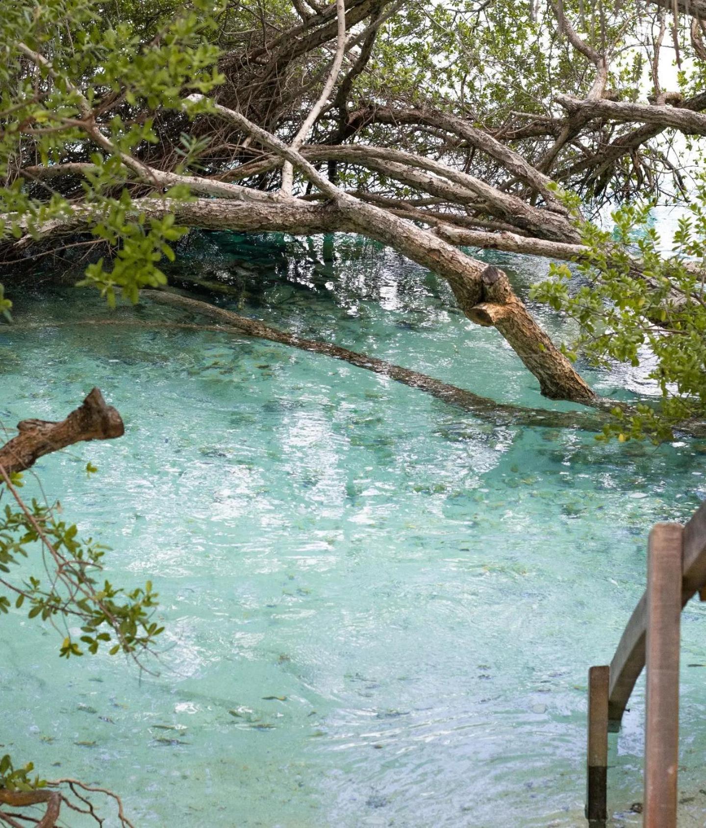 Kudhi Boli Beach House Thulusdhoo Eksteriør billede